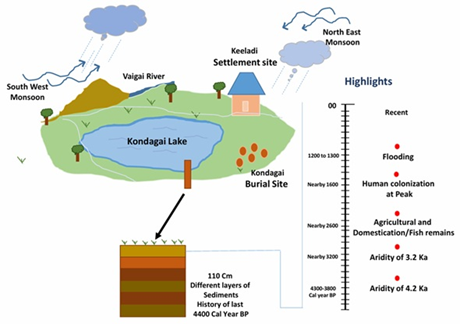 Graphical abstract of the Manuscript